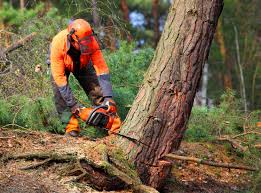 Mulching Services in Dewitt, IA